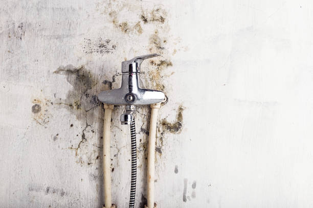 Best Mold Testing  in Adrian, MI