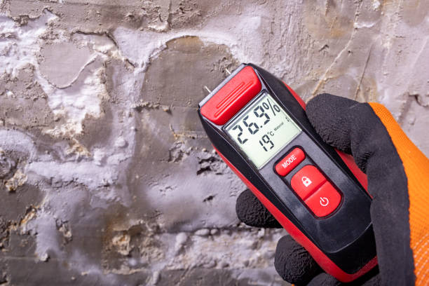 Reliable Adrian, MI Mold Removal Solutions