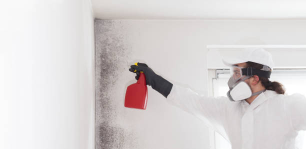Best Professional Mold Removal  in Adrian, MI