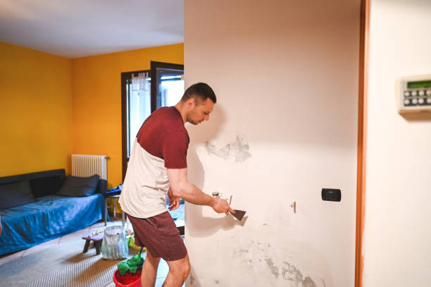 Best Mold Removal Near Me  in Adrian, MI