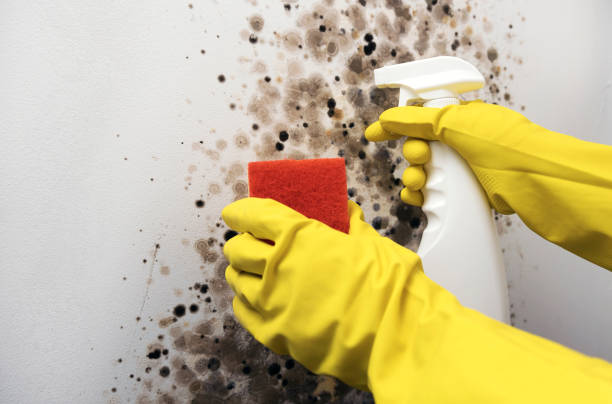 Water Damage Restoration in Adrian, MI